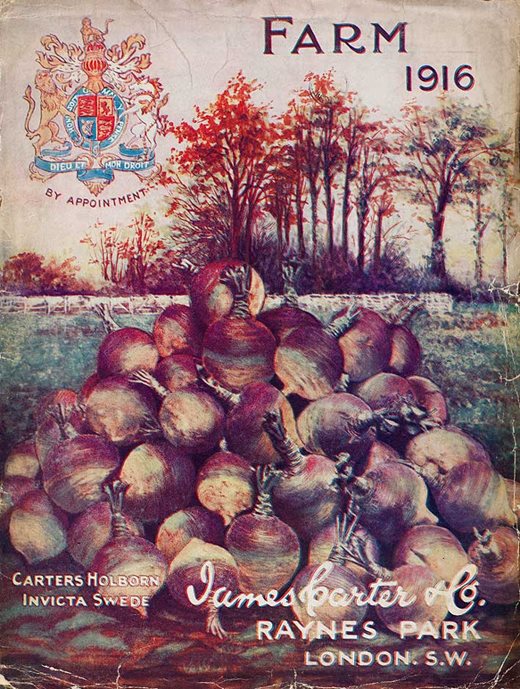 Carter's catalogue 1916