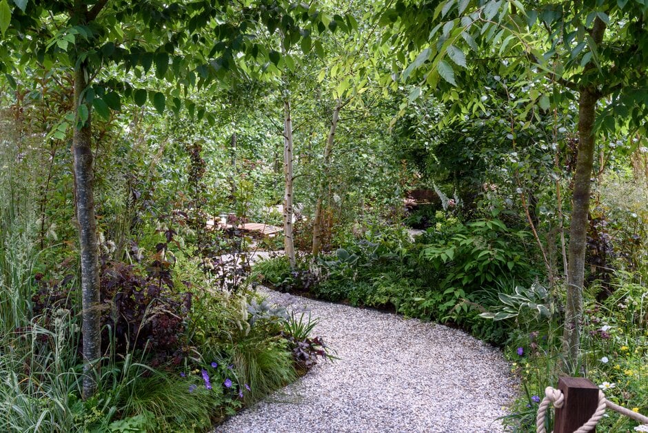 RHS guide to creating a forest bathing garden