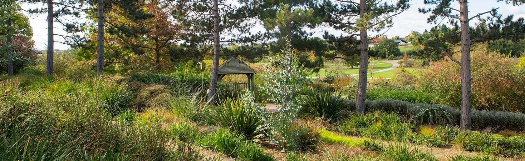 photograph of the garden