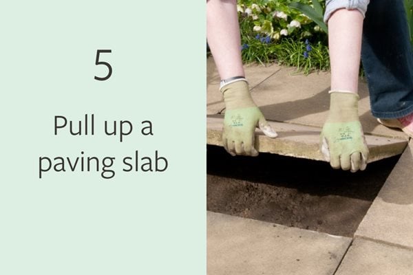 5. Pull up a paving slab