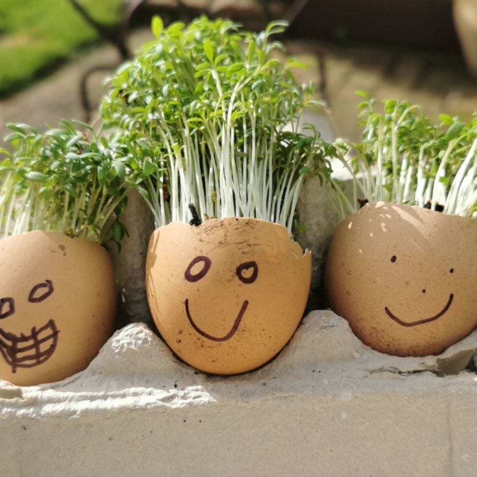 Cress heads