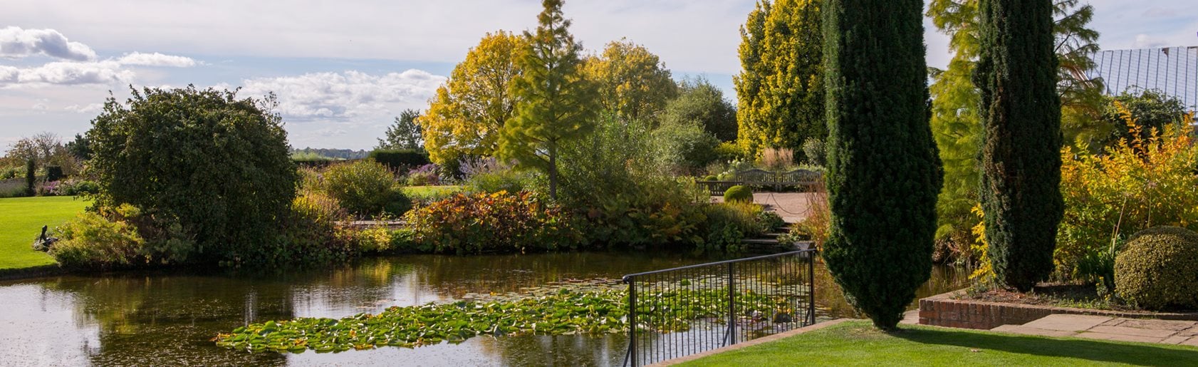 photograph of the garden