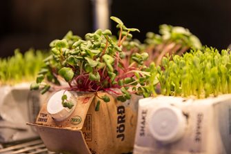 Microgreen Growtainer display