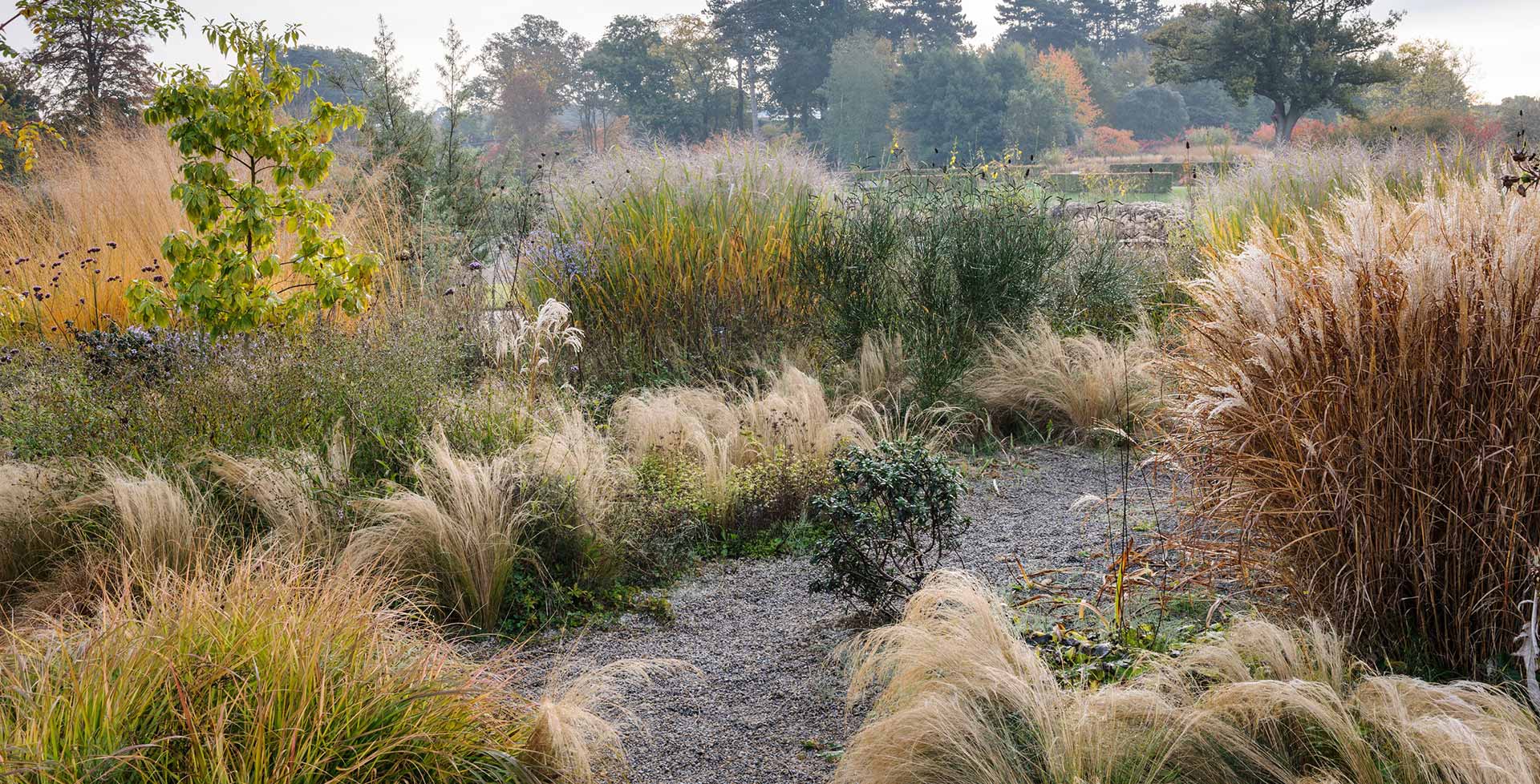 What to Use Instead of Grass 21 Alternatives to Elevate Your