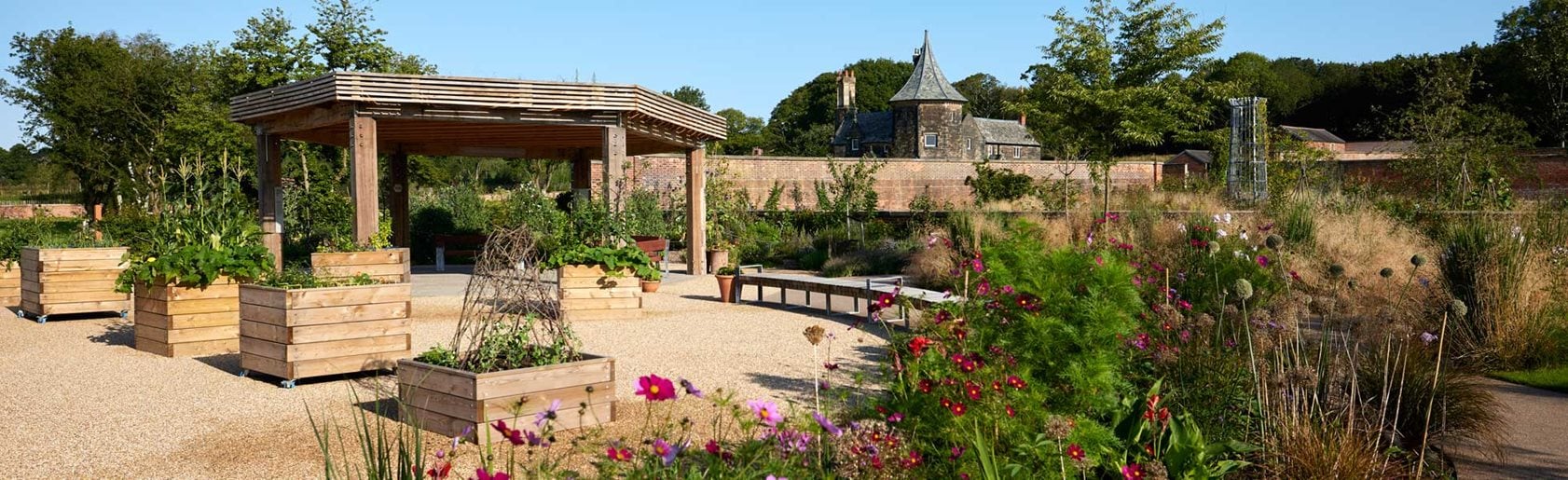 photograph of the garden