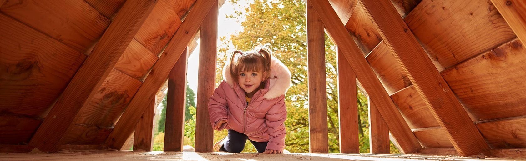 photograph of the garden