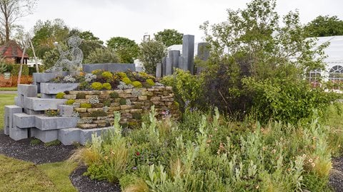 A flower filled meadow and a rock garden area show the transition from the 'built' concrete world to that of the all too often disregarded natural environment