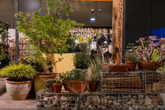 Biodiverse Containers planting