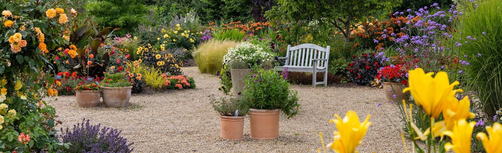 photograph of the garden