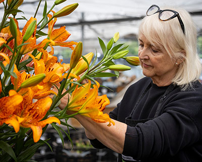 Harts Nursery: Master Grower at RHS Flower Show Wentworth Woodhouse ...