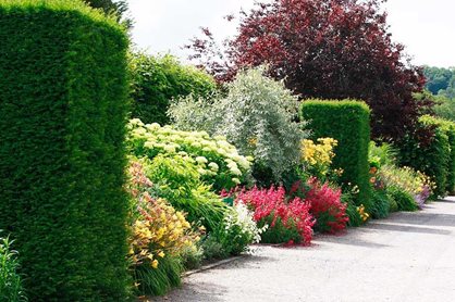 Long Borders at RHS Garden Rosemoor in summer