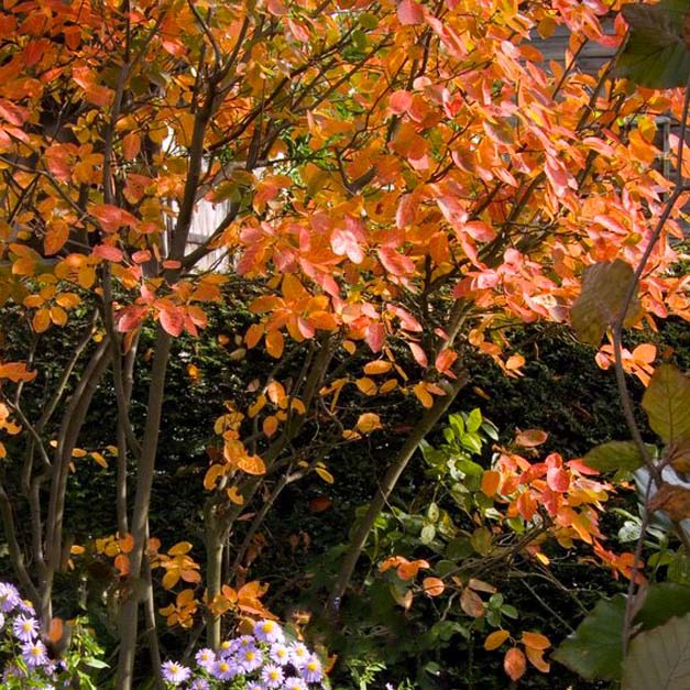... and in autumn
