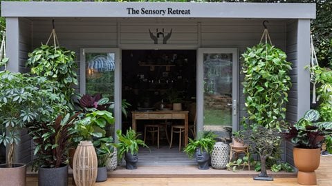 The Sensory Retreat