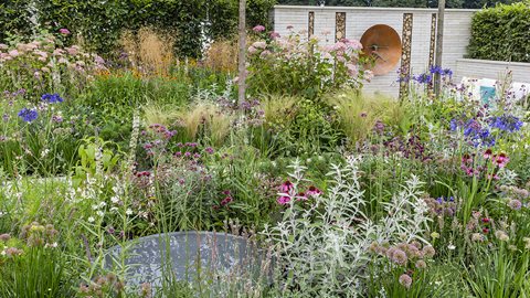 A secluded seating area is nestled among pollinator-friendly planting, reflecting the dual functionality of the garden as a feel-good place for both people and wildlife.