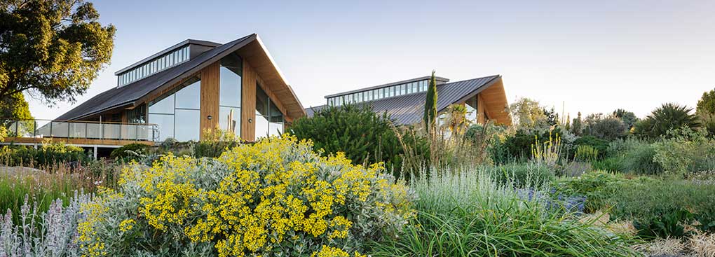 Evening light illuminates two modern, glass fronted-buildings which overlook a landscape of dry, desert plants