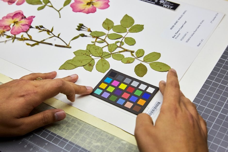 RHS Herbarium / RHS Gardening