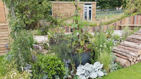 A classroom provides the backdrop to this garden, which aims to provide a vision of the ideal primary school garden