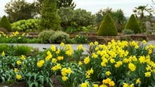 Visit Hyde Hall in spring