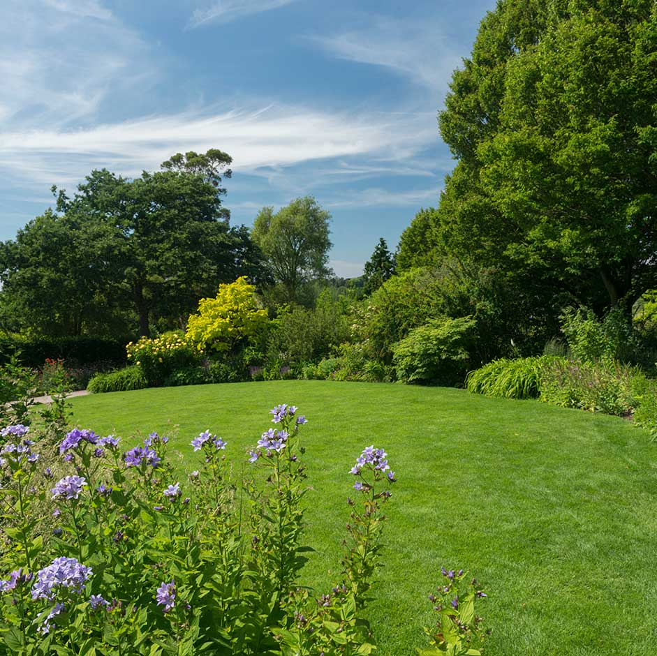 A well-maintained lawn in summer