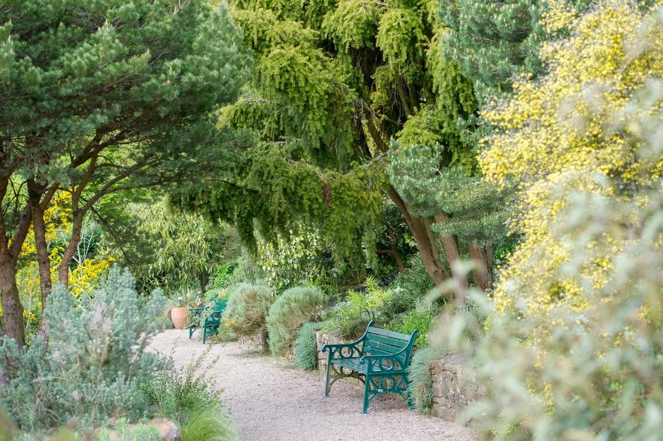 The Mediterranean Garden at Rosemoor
