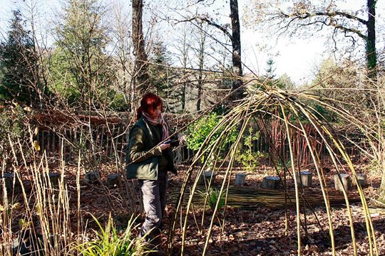 Susie building a willow den