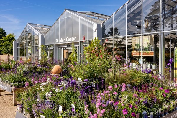person shopping for small plant from the shop