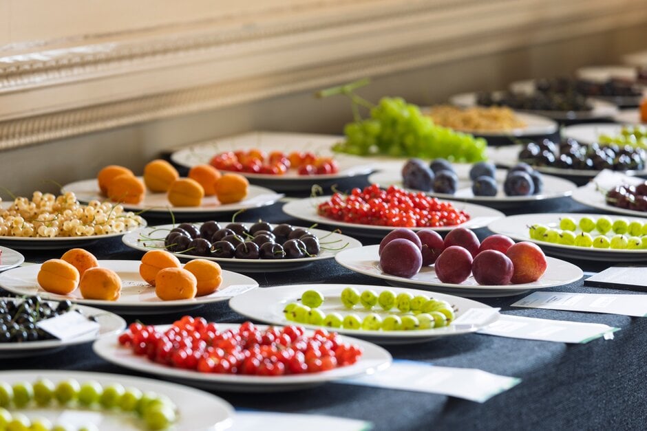 Fruit and veg competition