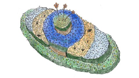 Buglife: Blue Halo Garden
