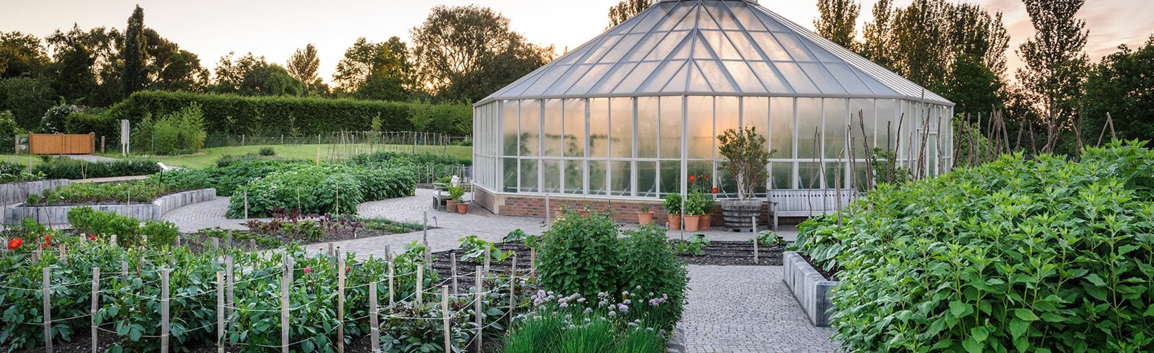 photograph of the garden