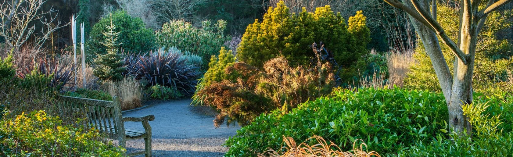 photograph of the garden